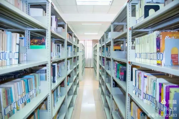 美丽的松江二中